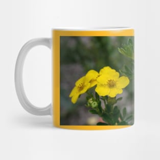 Buttercups Mug